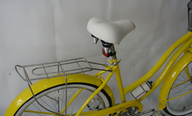 saddle and rear carrier